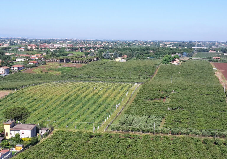 Campagna Cisterna - veduta aerea 2