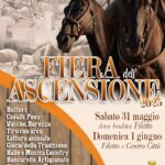 locandina ascensione