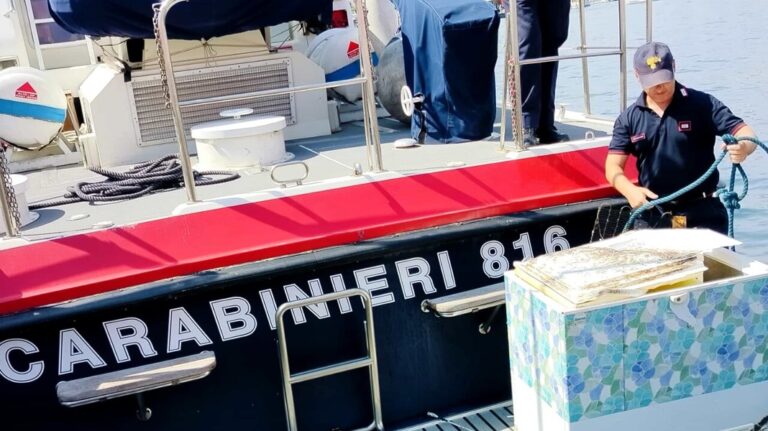 Senza titolo