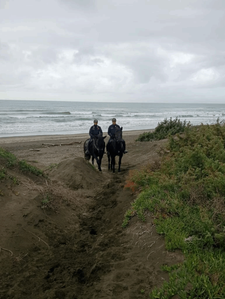 san felice Circeo latina carabinieri a cavallo in spiaggia mare