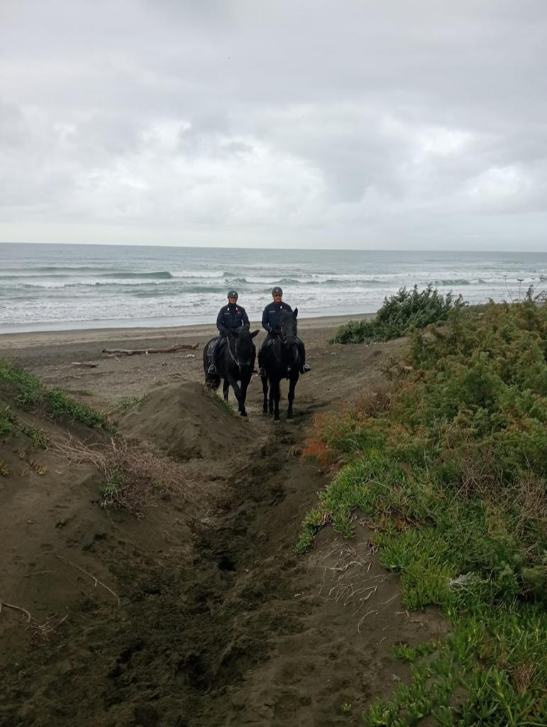 san felice Circeo latina carabinieri a cavallo in spiaggia mare