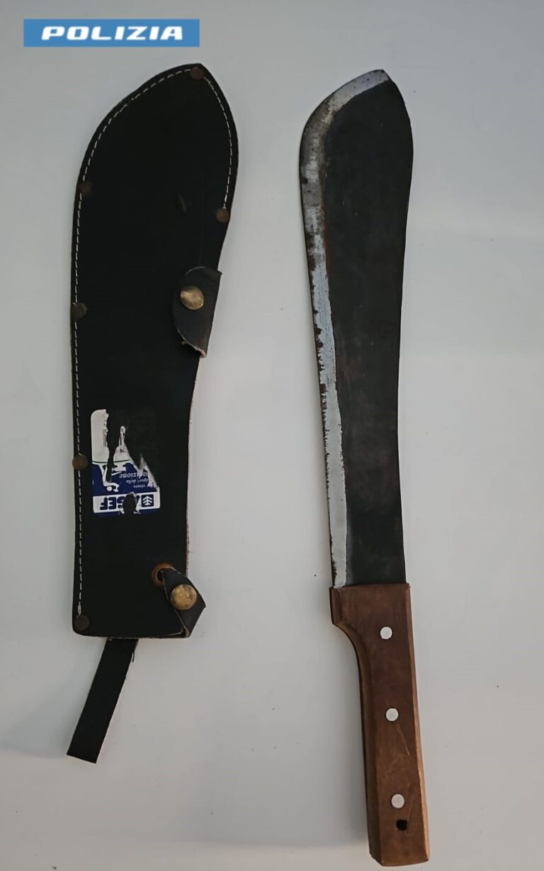 machete 2