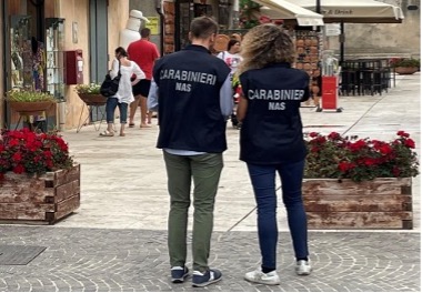 nas gaeta carabinieri