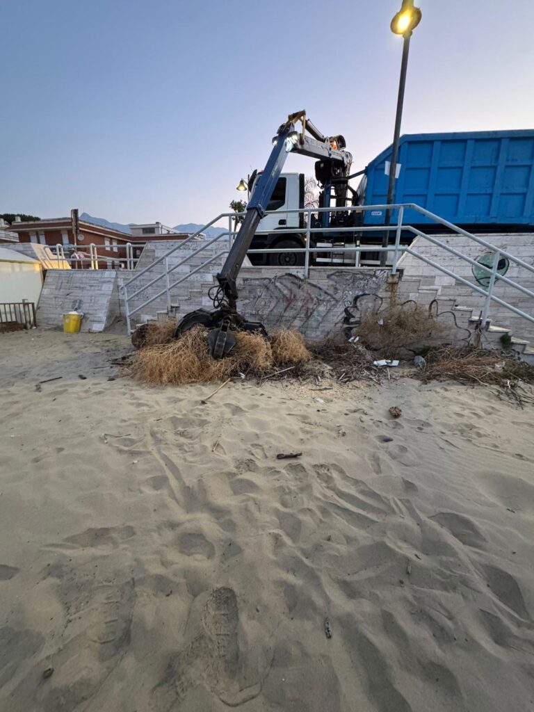 pulizia spiaggia