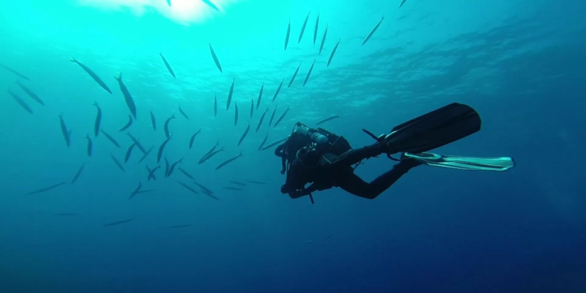 sub mare.jpg