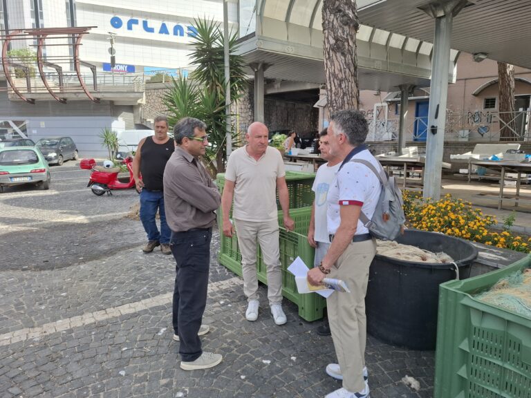 Consegna bins Formia Copagri (2)