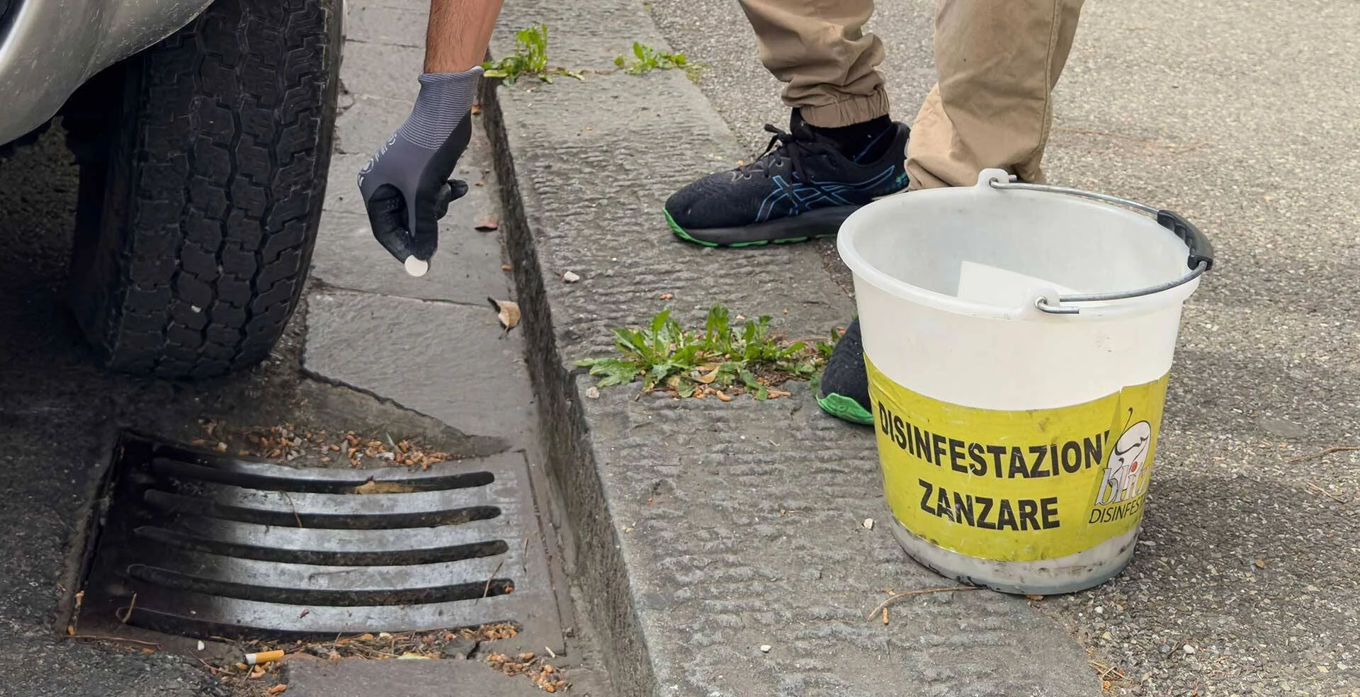 Disinfestazione larvicida