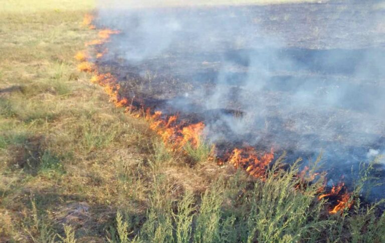 incendio-sterpaglie