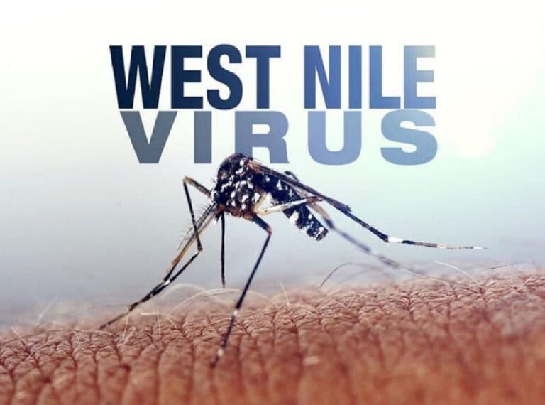 west-nile-virus