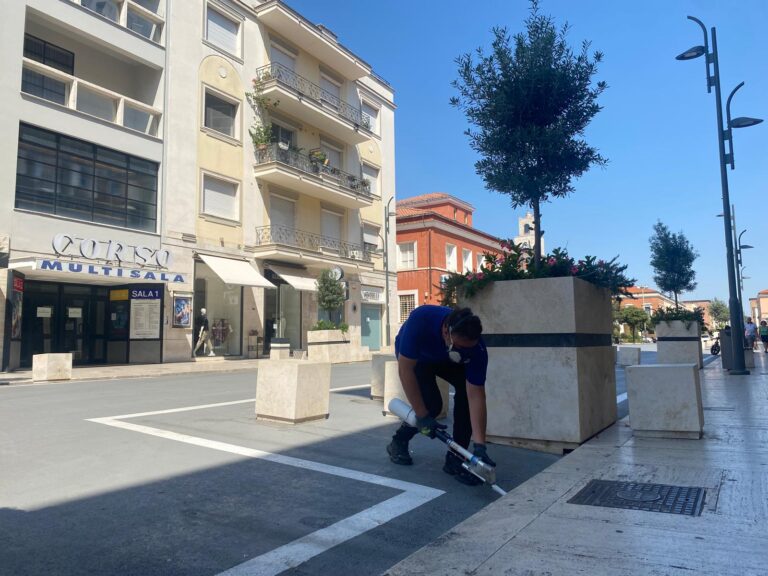 disinfestazione latina