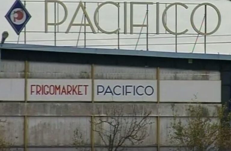 pacifico