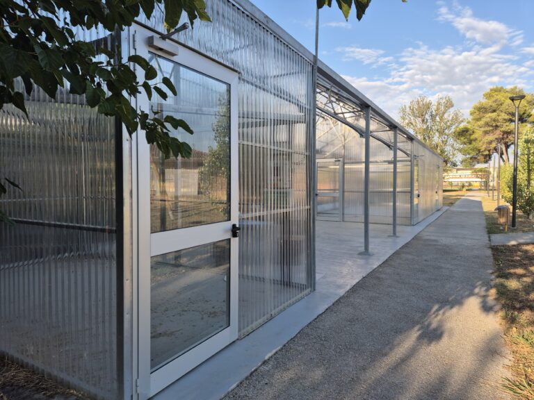 progetto upper latina