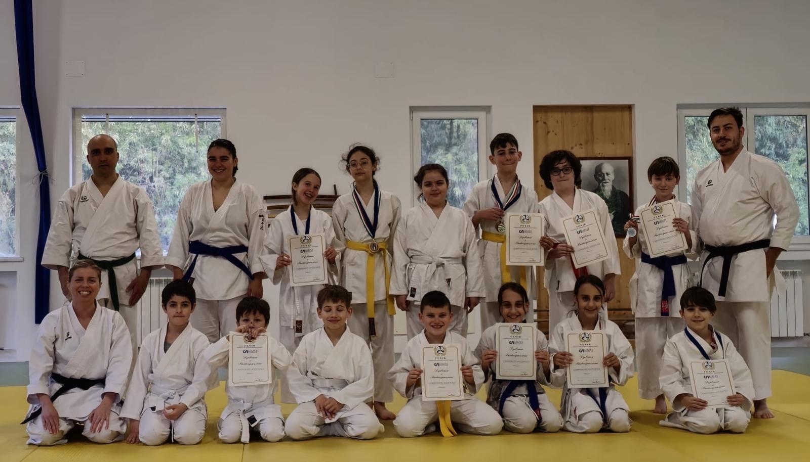 shibumi karate