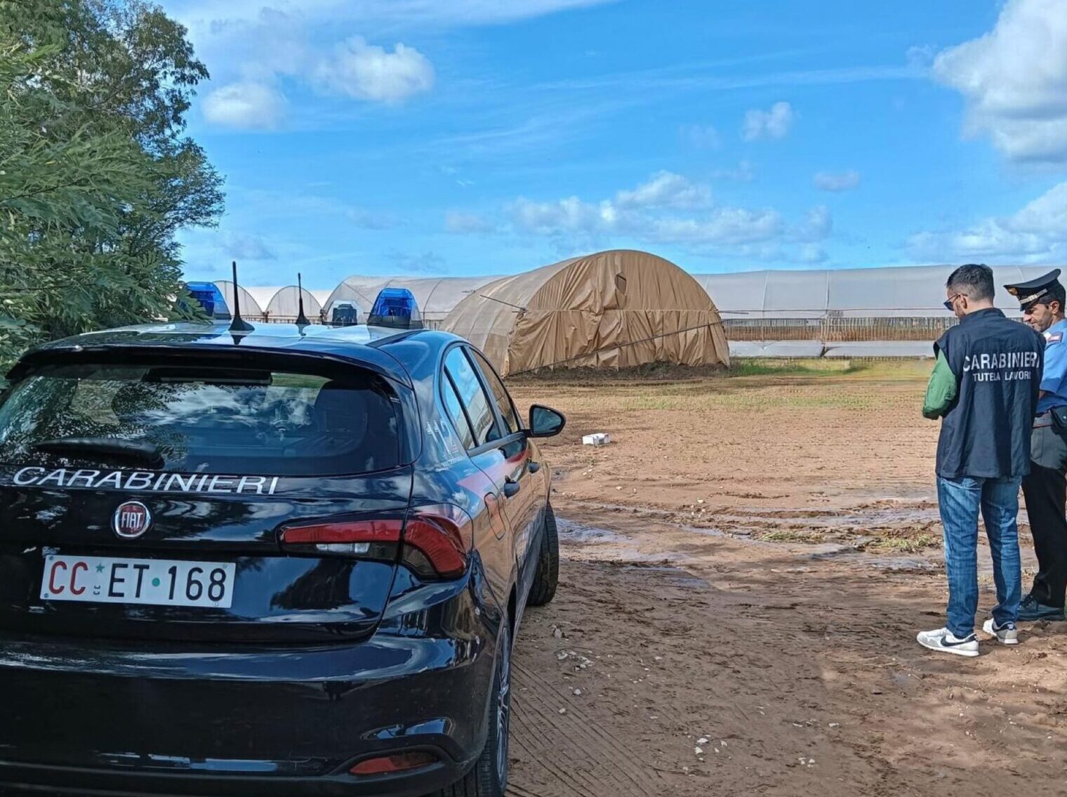 26.09.2025 TERRACINA (LT) CONTROLLI DEI CARABINIERI PRESSO DUE AZIENDE AGRICOLE. DENUNCIATO E SANZIONATO IL TITOLARE DI UNA DI ESSE_2