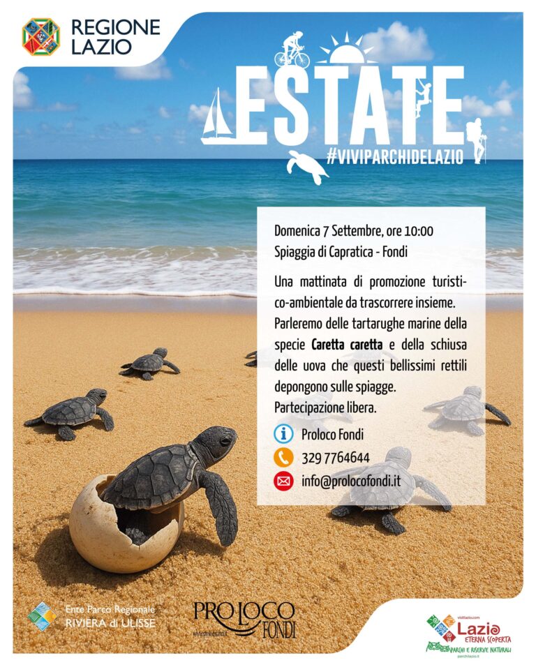 Banner_Giornata_Tartarughe_Fondi 7 settembre 2025 Pro Loco Riviera di Ulisse