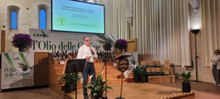 Prof. Eugenio Lendato_Sapienza Roma_Polo Pontino (1)