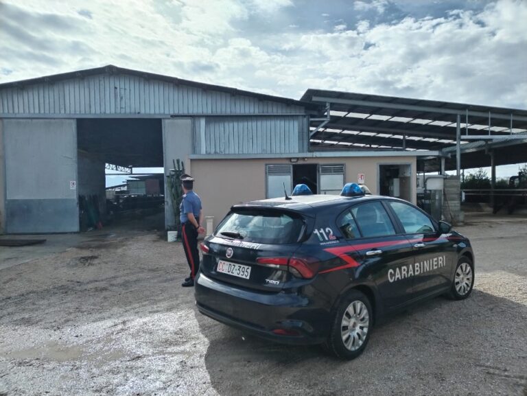 carabinieri azienda agricola