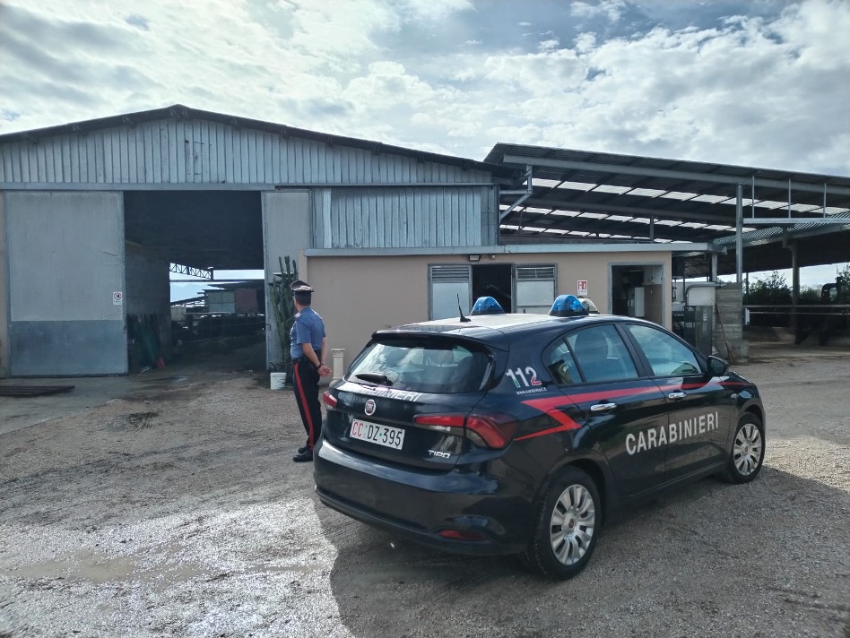 carabinieri azienda agricola