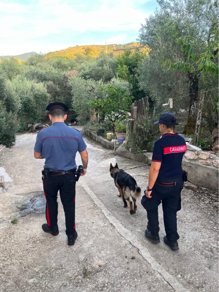 carabinieri sonnino