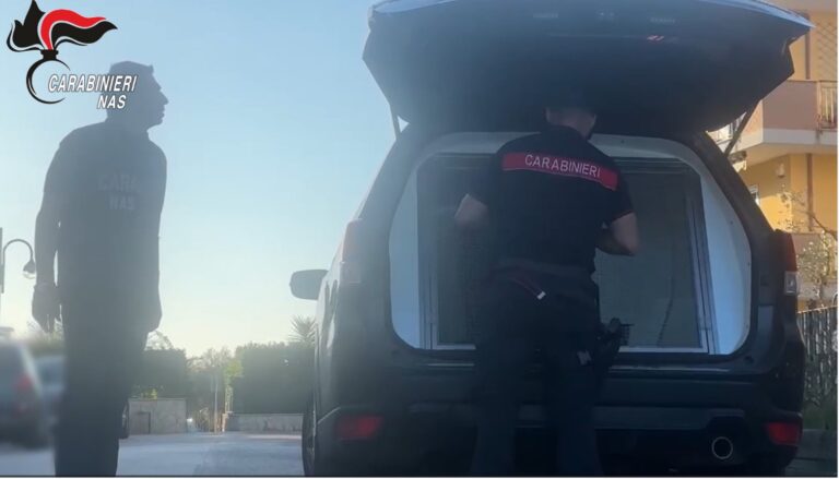 cinofili carabinieri