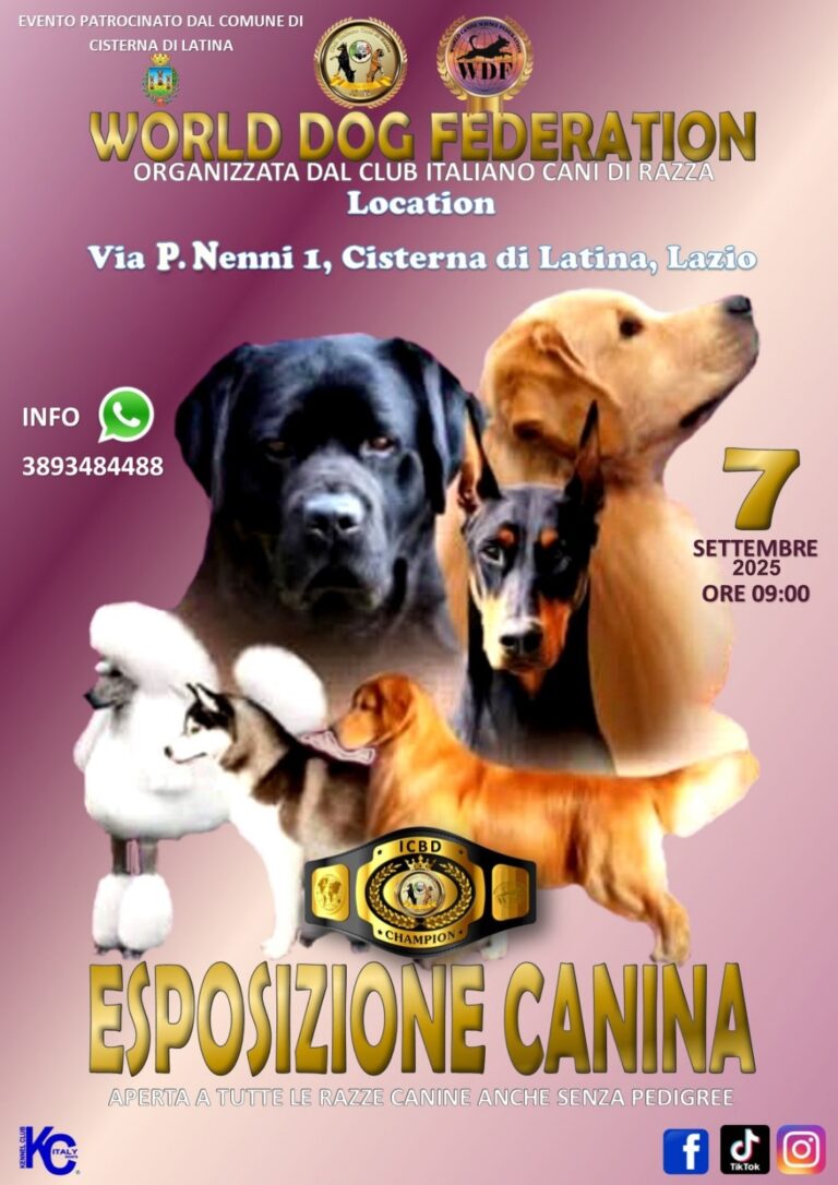 locandina
