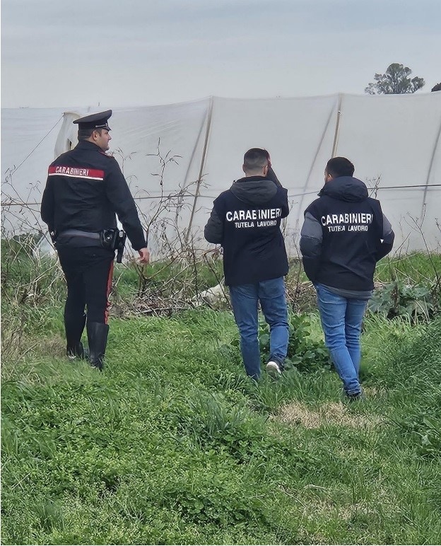 carabinieri cisterna azienda agricola